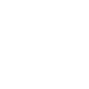 150++ Car Sold